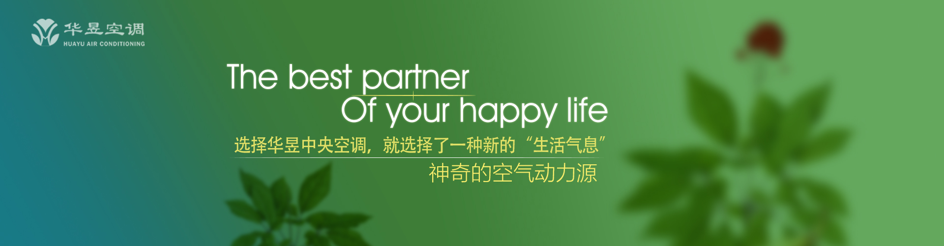 高材捷足网